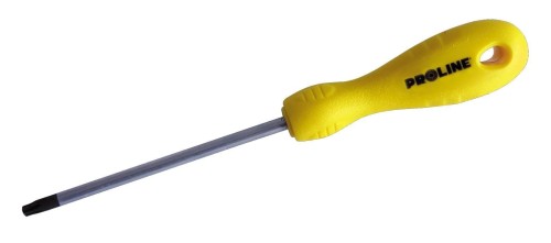 PROLINE WKRĘTAK TORX SECURITY T20x60MM 10285