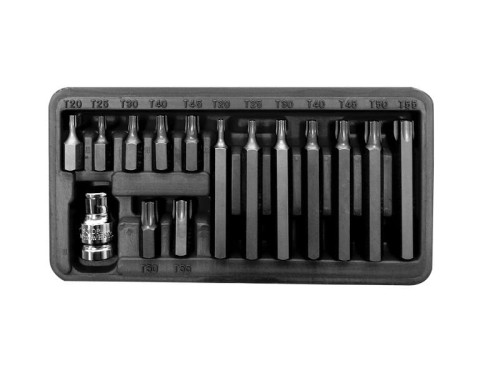 PROLINE ZESTAW KOŃCÓWEK BITÓW 3/8" TORX T20-T55 30/75MM 15 ELEMENTÓW 10741