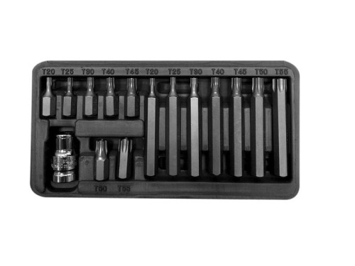 PROLINE ZESTAW KOŃCÓWEK BITÓW 3/8" TORX SECURICTY T22-T50 30/75MM 15 ELEMENTÓW 10745