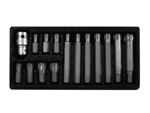 PROLINE ZESTAW KOŃCÓWEK BITÓW 3/8" RIBE M6-M14 30/75MM 15 ELEMENTÓW 10746