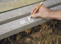 PICA ZNACZNIK ŻELOWY PICA-GEL SIGNALMARKER BIAŁY 8080