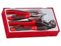 TENGTOOLS ZESTAW SZCZYPIEC 4 SZT. TT109820101 - DARMOWA WYSYŁKA