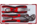 TENGTOOLS ZESTAW SZCZYPIEC 4 SZT. TT109820101 - DARMOWA WYSYŁKA