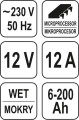 pol_pl_Prostownik-elektroniczny-12v-12a-6-200ah-10005104_4.jpg