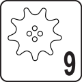 SAW_GUIDE_TEETH_9.png
