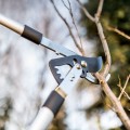 11664142(5)-preview.jpg