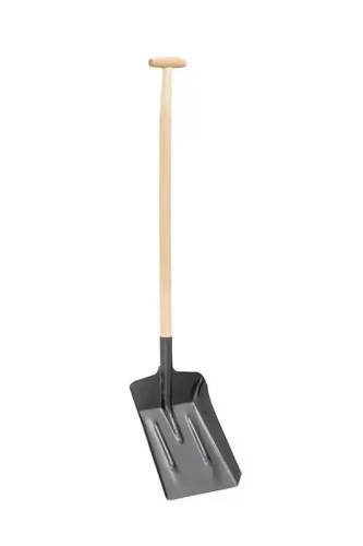 TL216.webp
