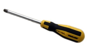 PROLINE WRĘTAK TORX Z OTWOREM T40x100MM NA ZAWIESZCE 10196ZR