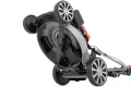 12.webp