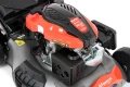 14.webp