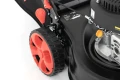 8.webp