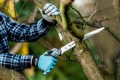 CELLFAST PIŁA JEDNORĘCZNA ERGO 41-040